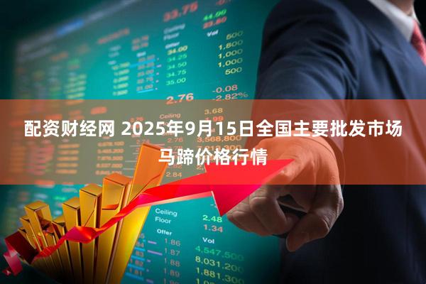配资财经网 2025年9月15日全国主要批发市场马蹄价格行情